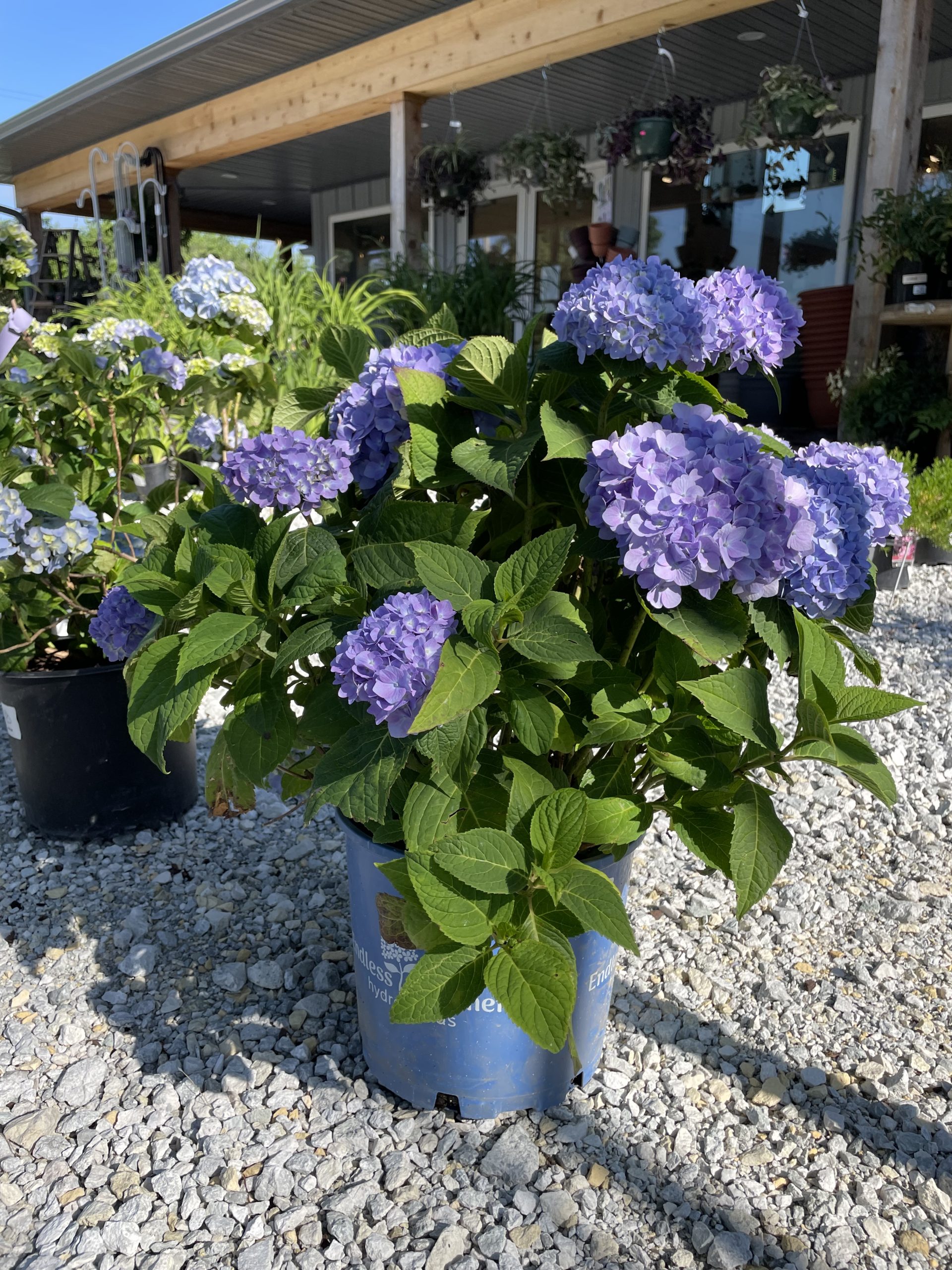 Garden Center