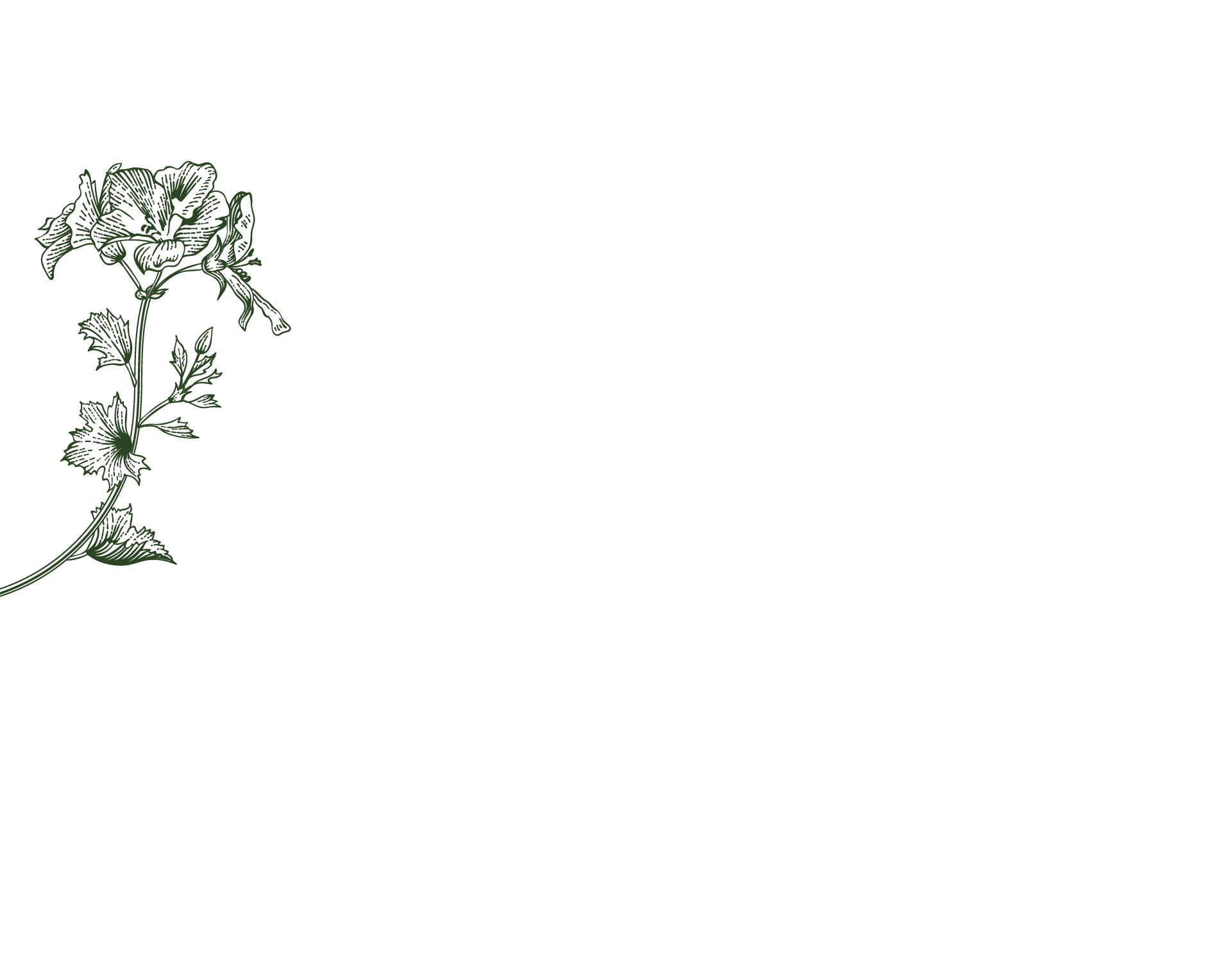 parallax background